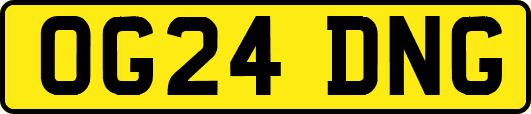 OG24DNG
