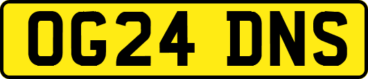 OG24DNS