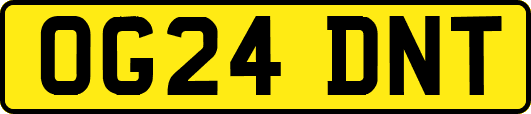 OG24DNT