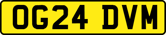 OG24DVM