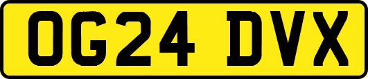 OG24DVX