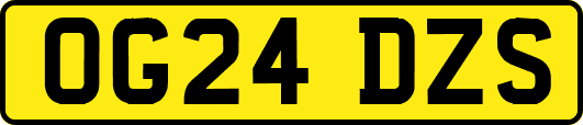 OG24DZS