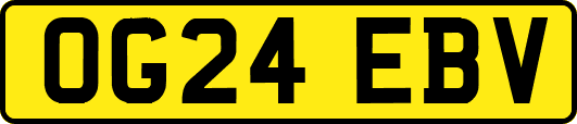 OG24EBV