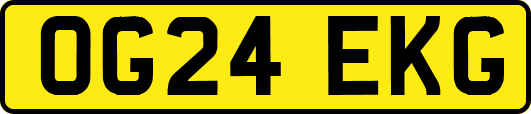 OG24EKG