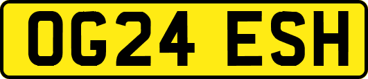 OG24ESH