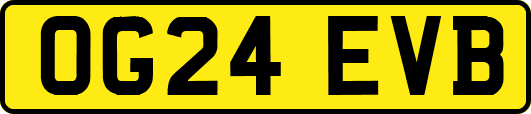 OG24EVB