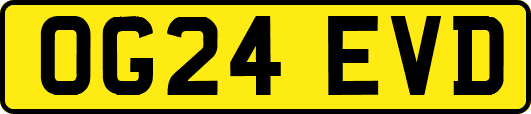 OG24EVD