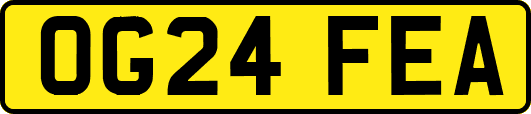 OG24FEA