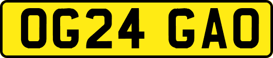 OG24GAO