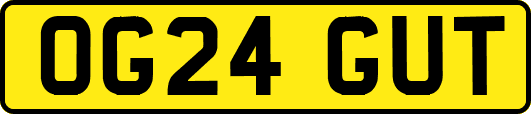 OG24GUT