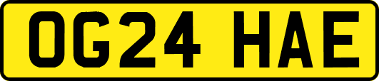 OG24HAE