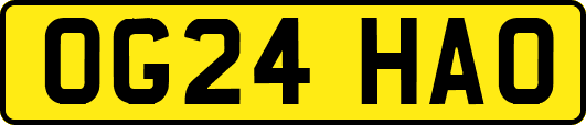 OG24HAO