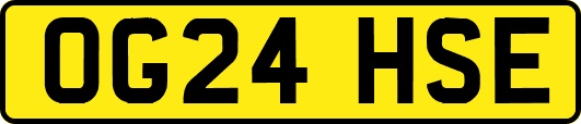 OG24HSE