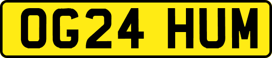 OG24HUM