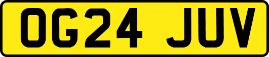 OG24JUV