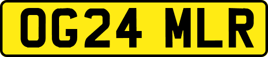 OG24MLR