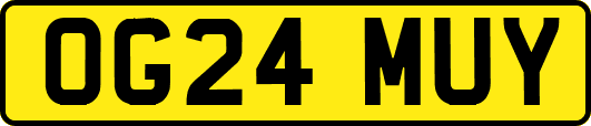 OG24MUY