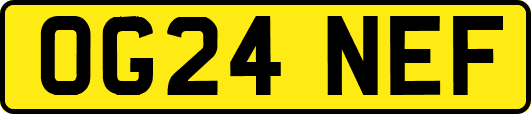 OG24NEF