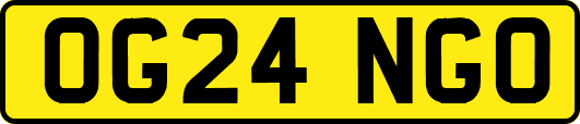 OG24NGO
