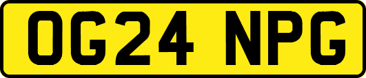 OG24NPG