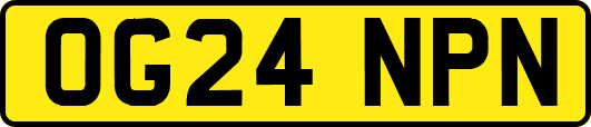 OG24NPN