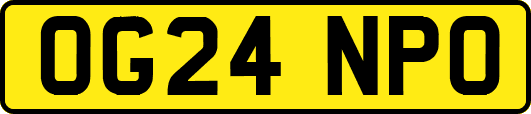 OG24NPO
