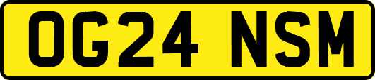 OG24NSM