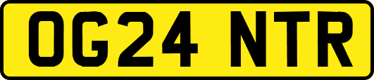OG24NTR