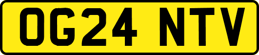 OG24NTV