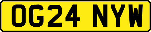 OG24NYW