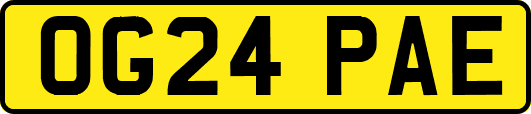 OG24PAE