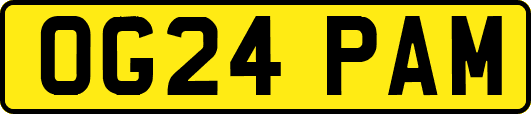 OG24PAM