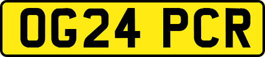 OG24PCR