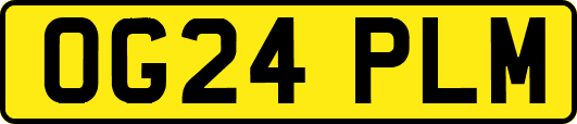 OG24PLM