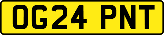 OG24PNT