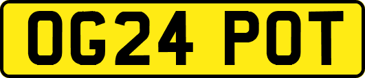 OG24POT