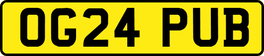 OG24PUB