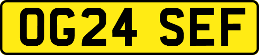 OG24SEF