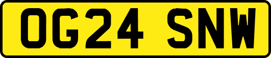 OG24SNW
