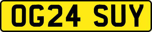 OG24SUY