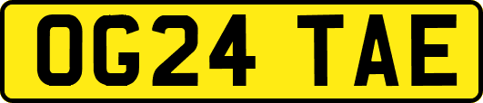 OG24TAE