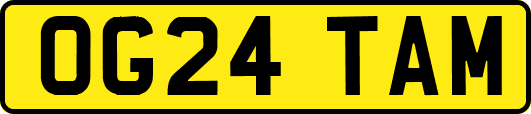 OG24TAM