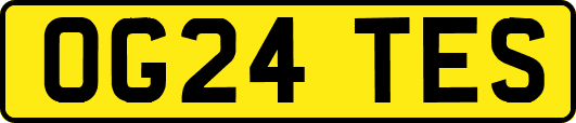 OG24TES