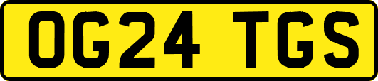 OG24TGS