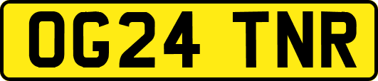 OG24TNR