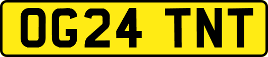 OG24TNT