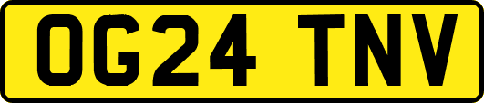 OG24TNV