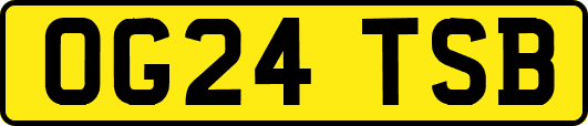 OG24TSB