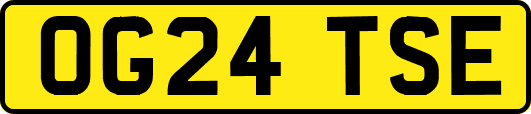OG24TSE