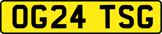 OG24TSG